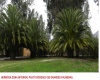 Paine, R. Metropolitana, ,Parcela,Venta,1051