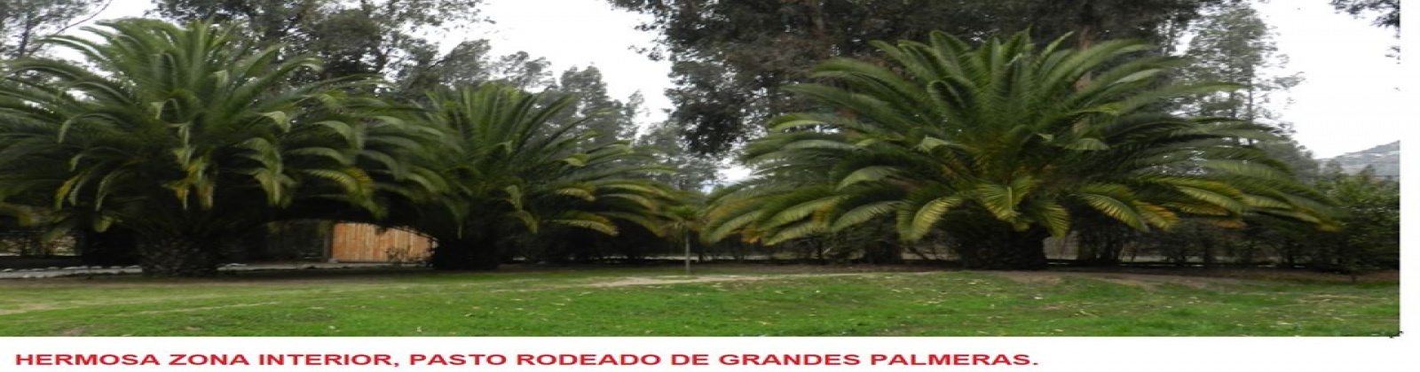 Paine, R. Metropolitana, ,Parcela,Venta,1051