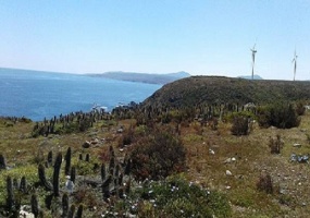 64 Punta colorada, Ovalle, Región IV - Coquimbo, ,Parcela,Venta,Punta colorada,1084