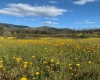 Peralillo, Región VI - O´Higgins, ,Parcela,Venta,1085