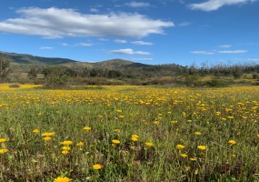 Peralillo, Región VI - O´Higgins, ,Parcela,Venta,1085
