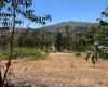 Peralillo, Región VI - O´Higgins, ,Parcela,Venta,1085