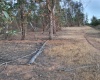 Peralillo, Región VI - O´Higgins, ,Parcela,Venta,1085