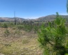 Peralillo, Región VI - O´Higgins, ,Parcela,Venta,1085