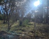 Peralillo, Región VI - O´Higgins, ,Parcela,Venta,1085