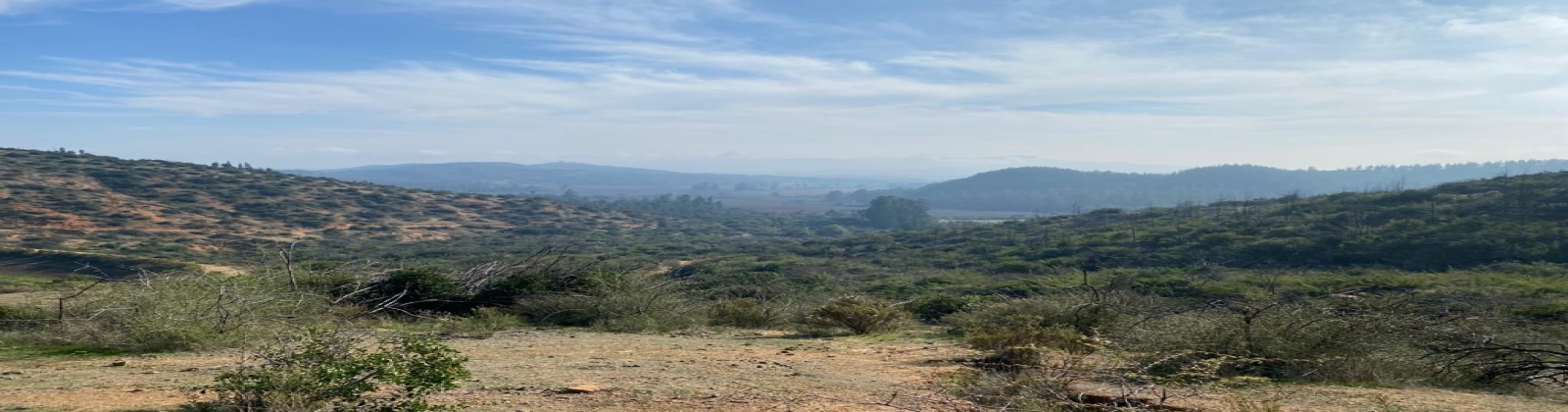 Peralillo, Región VI - O´Higgins, ,Parcela,Venta,1085