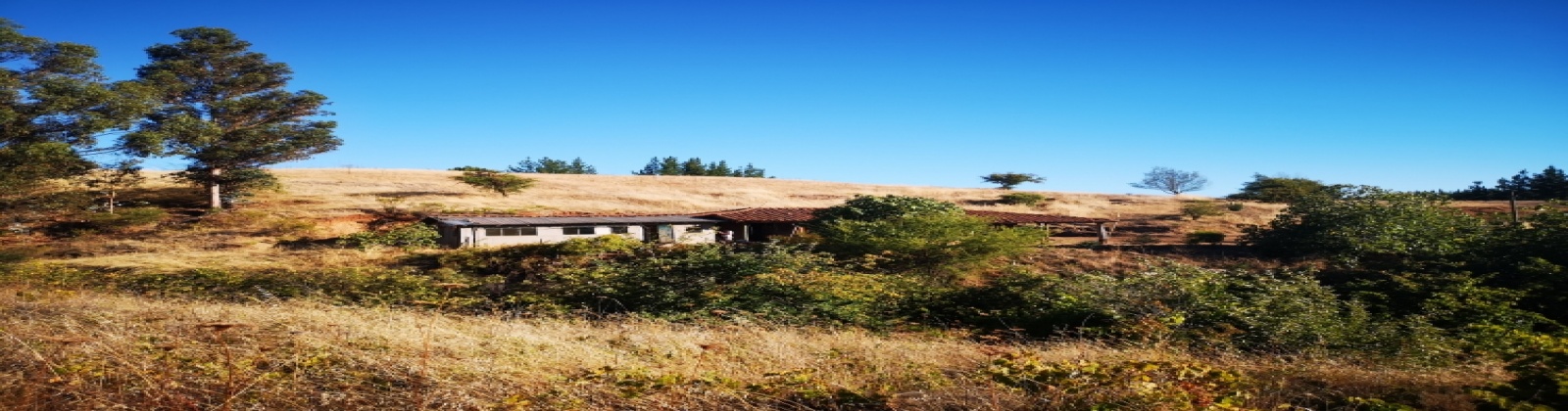 Portezuelo, Región VII - Maule, ,Terreno,Venta,1086