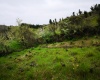 Portezuelo, Región VII - Maule, ,Terreno,Venta,1086