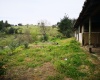 Portezuelo, Región VII - Maule, ,Terreno,Venta,1086