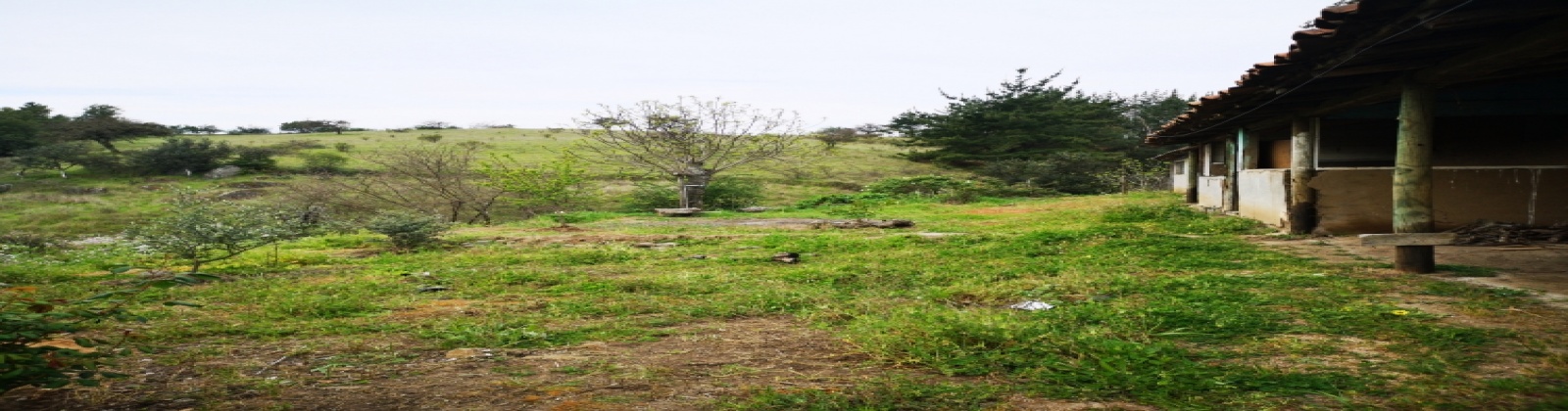 Portezuelo, Región VII - Maule, ,Terreno,Venta,1086