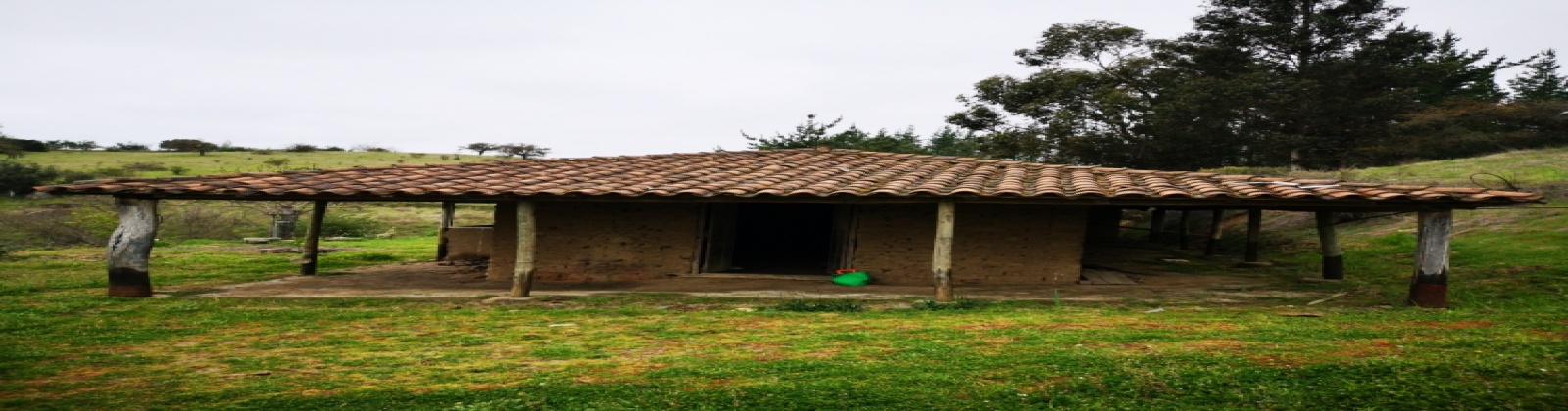 Portezuelo, Región VII - Maule, ,Terreno,Venta,1086